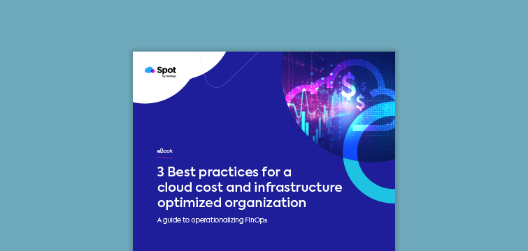 3 Best Practices for a Cloud Cost and Infrastructure Optimized Organization