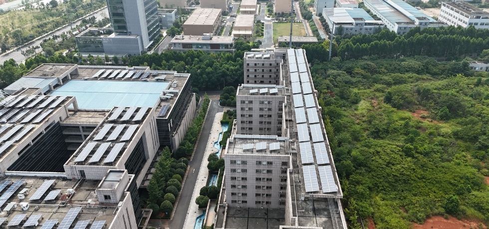 Why Net Zero Emissions Are Becoming a Competitive Advantage Instead of a Compliance Goal 