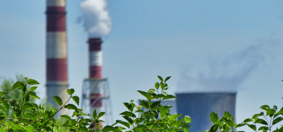Decarbonizing Industrial Heat Through Scalable Green Technology