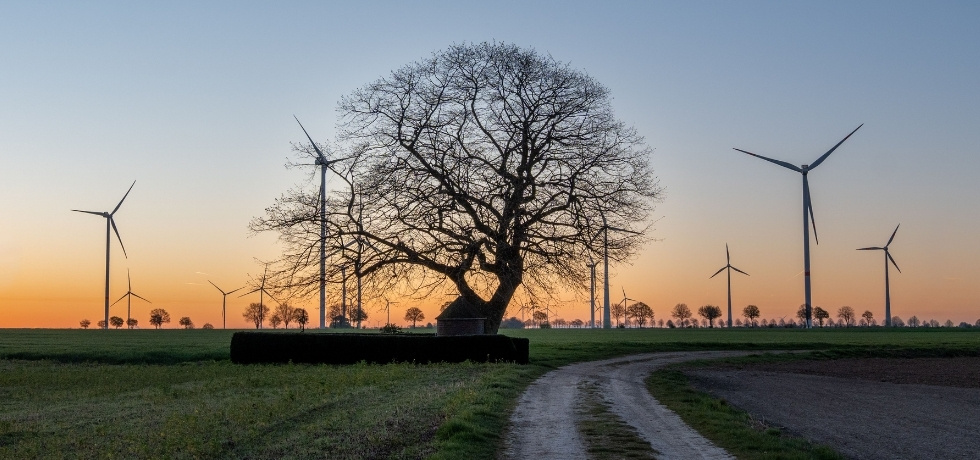 Why the Hardest Part of Net Zero Emissions Starts After the Target Is Set