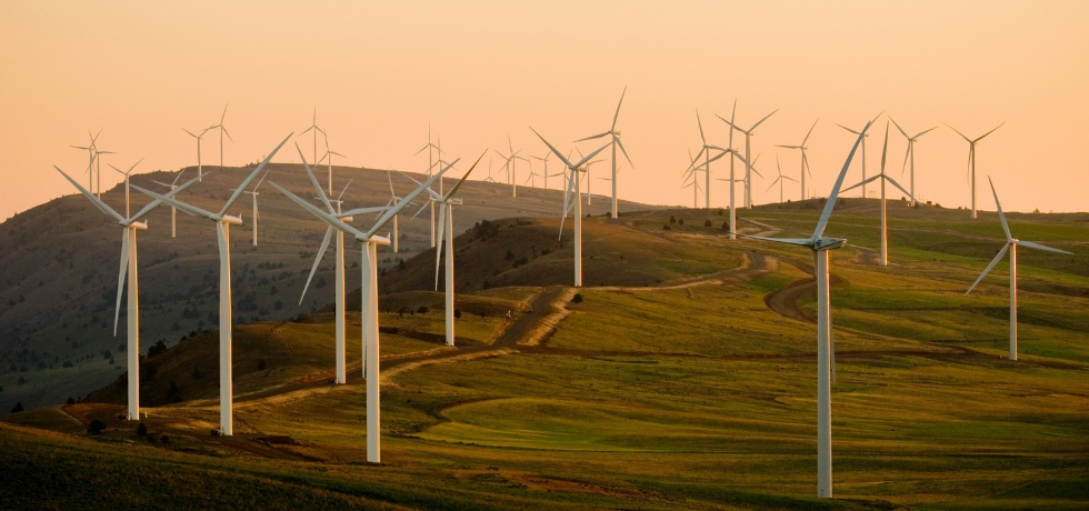 Why Renewable Generation Alone Cannot Solve the Green Technology Challenge