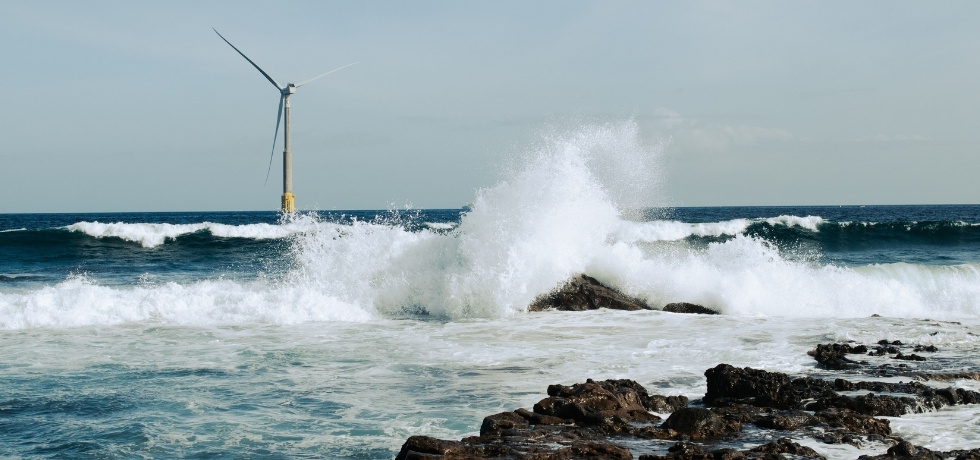 Can Technology Make Nature Positive Strategy More Measurable?