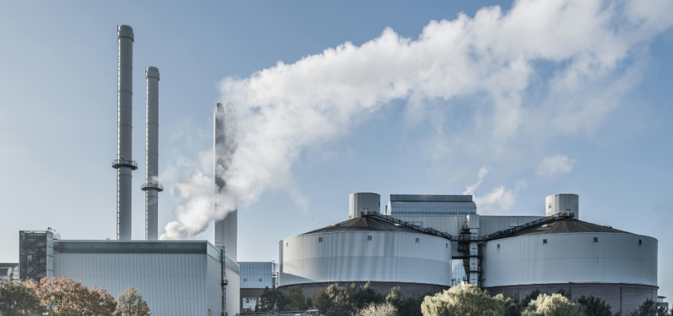 How to Connect a Nature Positive Strategy With Financial Materiality and Enterprise Risk