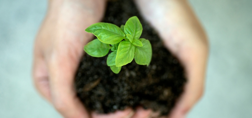 The Hidden Financial Risks a Nature Positive Strategy Can Reveal Before They Hit the Balance Sheet